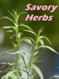 Savory herbs