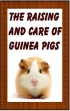 The Raising And Care Of Guinea Pigs