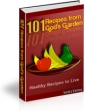 101 Recipes From Gods Garden