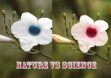 Nature V/S Science