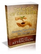 Law Of Attraction- The Might Of The Fighter