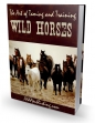 The Art Of Taming And Training Wild Horses