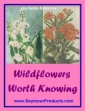 Wild Flowers Worth Knowing