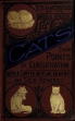 Cats- Their Points And Characteristics