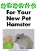 Caring For Your New Pet hamster