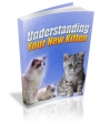 Understanding Your New Kitten