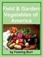 The Field And Garden Vegetables Of America
