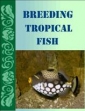 Breeding Tropical Fish