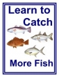 Learn To Catch More Fish