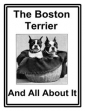 The Boston Terrier And All About It