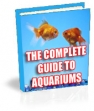 The Complete Guide To Aquariums