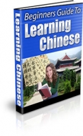 Beginner's Guide To Learn Chinese
