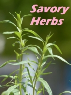 Savory herbs