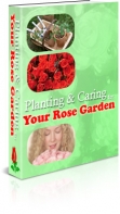 Planting And Caring For Your Rose Garden