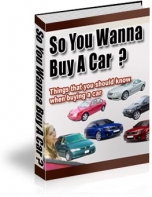 So You Wanna Buy A Car?