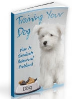 Training Your Dog