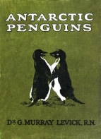 Antarctic Penguins
