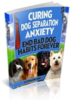Curing Dog Separation Anxiety