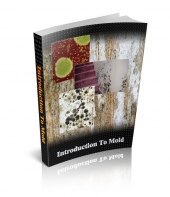 Introduction To Mold