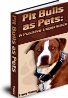 Pit Bulls As Pets- A Positive Experience