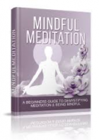 Mindful Meditation