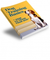 Dog Training Basics