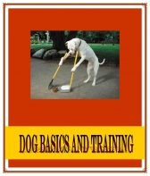 Dog Basics And Training