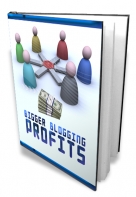 Bigger Blogging Profits