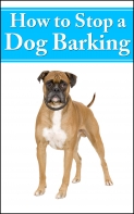 How To Stop Dog Barking