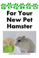 Caring For Your New Pet hamster