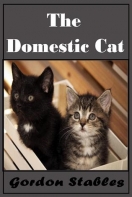 The Domestic Cat