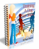 Training A Dog For Show
