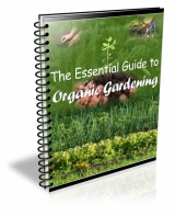 The Essential Guide To Organic Gardening